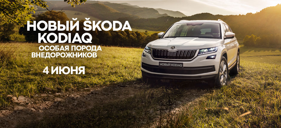 SKD kodiaq